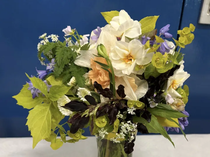 Spring Show Posy