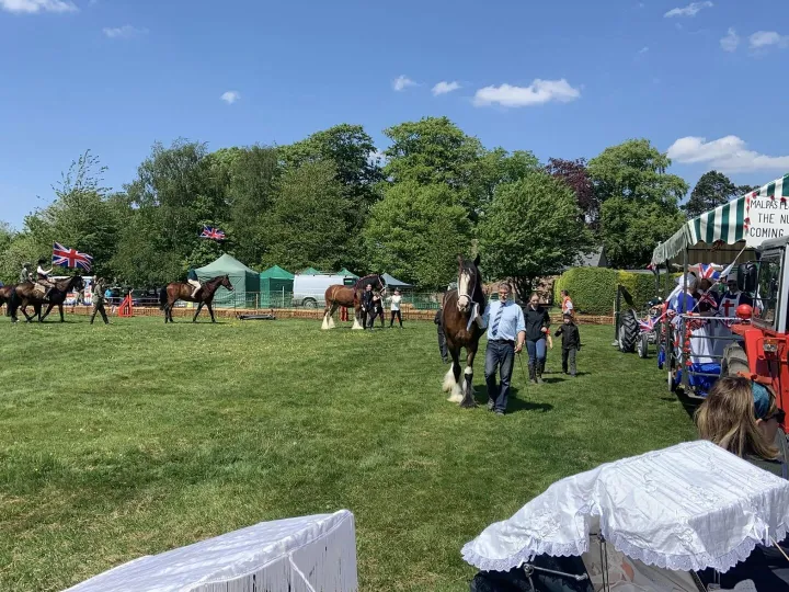 Horses Nd 1