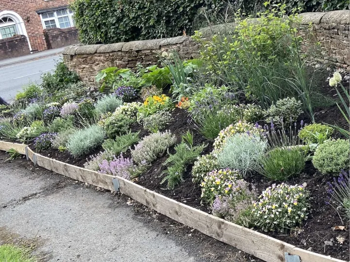 Herb bed June 25