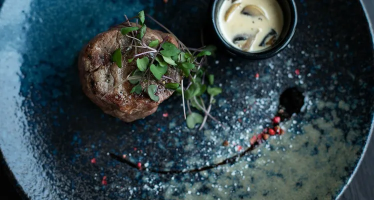 Elegant plated steak dish garnished with microgreens and served with creamy mushroom sauce.