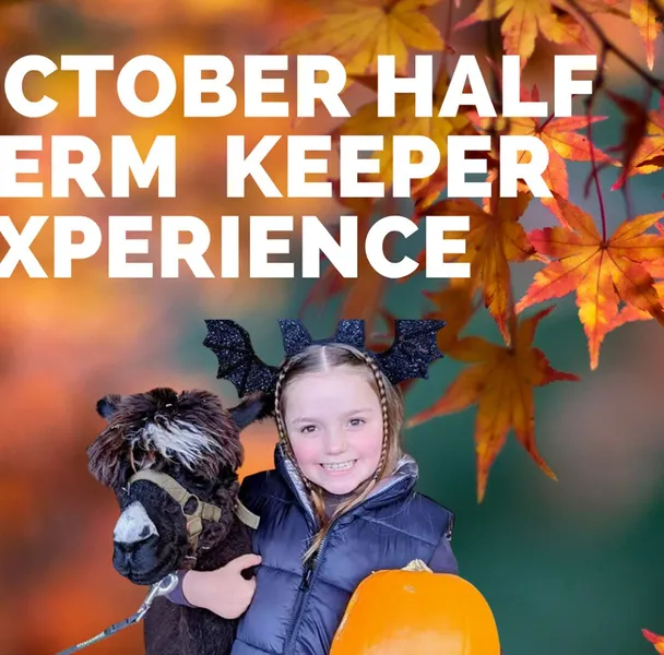 Autumn Half Term Poster