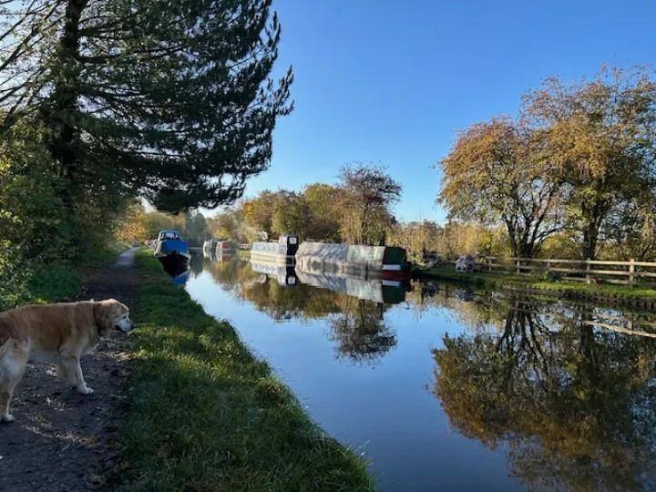 Sunday Reflections