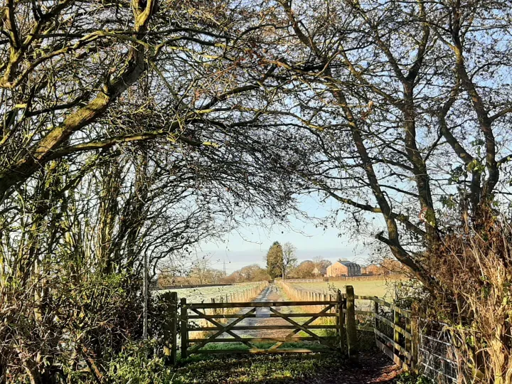 Walk and Talk