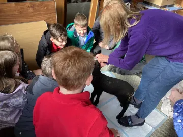 20260318_100543788_ios