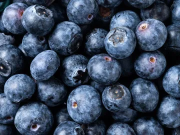 Blueberries in green bowl background