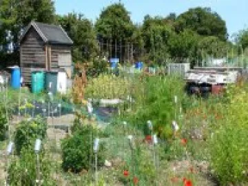 allotment51