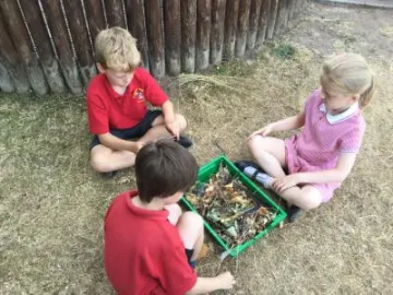 78A75D5C-3A65-42C8-836F-2C4F222D75A2