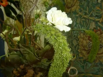 Flower Club Sept 2019 P1030806