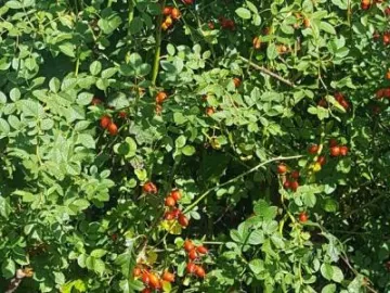 Image: 20190919 140036