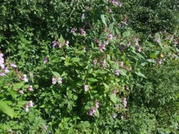 Image: 20190919 141448