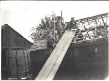 nurseriesabt1935