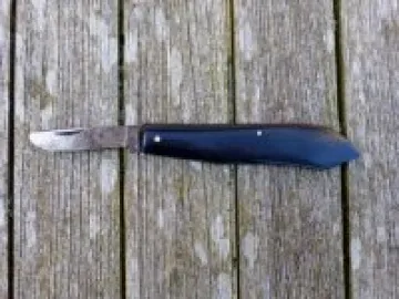 Budding Knife (click on image to enlarge)