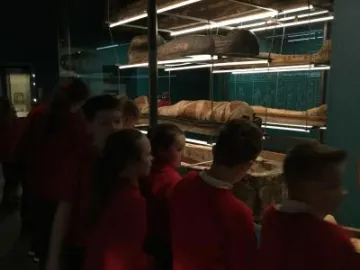 CA02D19B-08BA-46C5-A231-CD00E35A667F