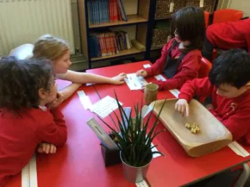 Image: 1EF8E7AE-4652-494A-AE41-1D78B72D5EC8