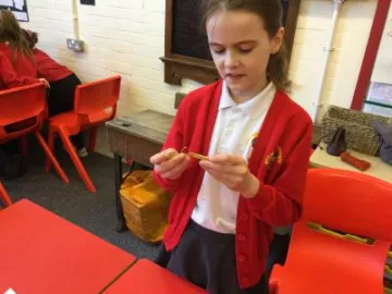 Image: 88887D1A-86FB-4673-B6FA-C307FAB0C3F7