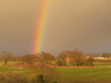 Rainbow_JT0594