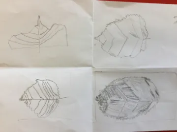 Image: 05E11511-A019-4DDA-9E7F-CFA2B5F839DD