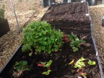 A2EB7559-32D9-42AF-808E-DBBD099DB2C9_1_201_a