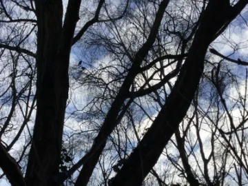 F6C4B023-1956-45E5-B412-C36BA5F7B518