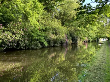 Bridgewater Reflactions