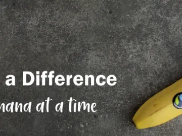 York-Methodist-Circuit-FairTrade