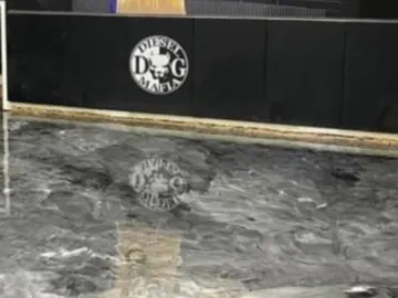 Screenshot 20220712 114249 Gallery