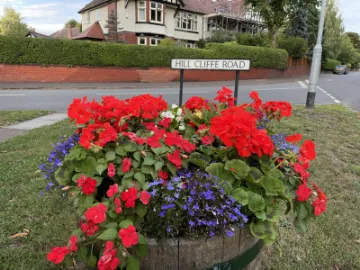 Summer planters 1