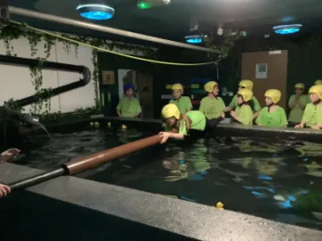 66CE4AC9-4398-4355-83DF-8C683EBD3AC9