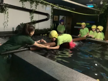 5C556A2B-61A1-4BB8-AA3A-3D75DAF13BE8