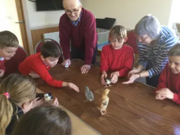 7E3BD278-48FF-4E58-8A2A-CC53D96C784A