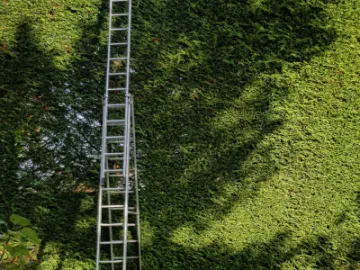 Image: 20221025 112716