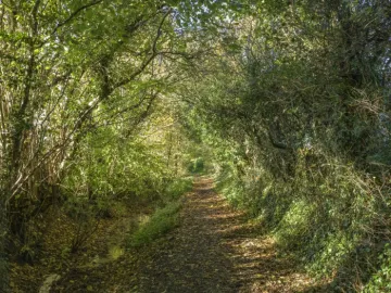 Image: 20231111 105553