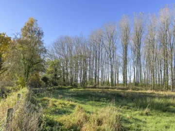 Image: 20231111 111847