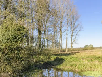 Image: 20231111 112114