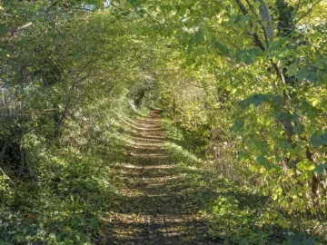 Image: 20231111 113603