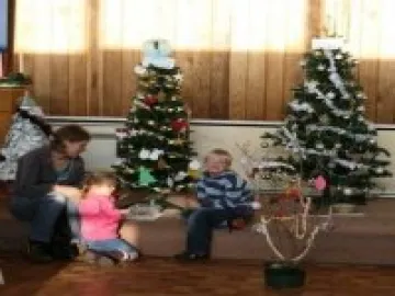 Larkfield Christmas Tree Festival 2011 crop- jpg