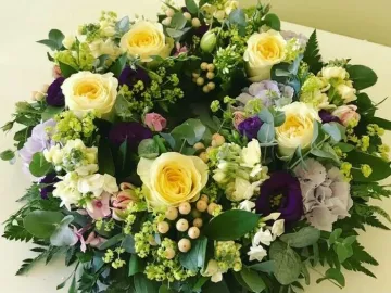 Original-C4412fae-746b-4d03-94