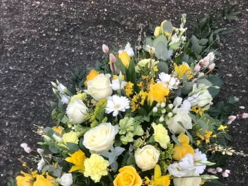 Processed-69303d00-03d3-46a9-B