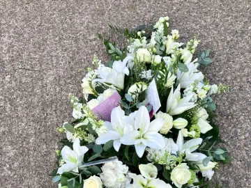 Processed-12988691-2bc3-4125-8