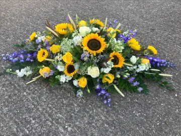 Processed-B7da46cf-B42b-4a06-A