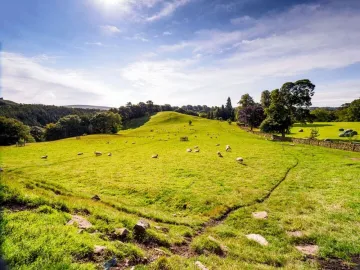 P8250317-E1447166247194