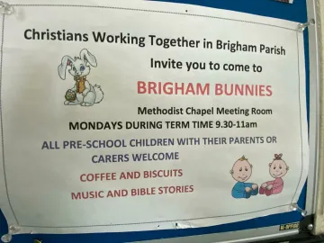 Brigham 61