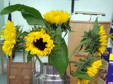 Harworth Harvest (3) Sept 25