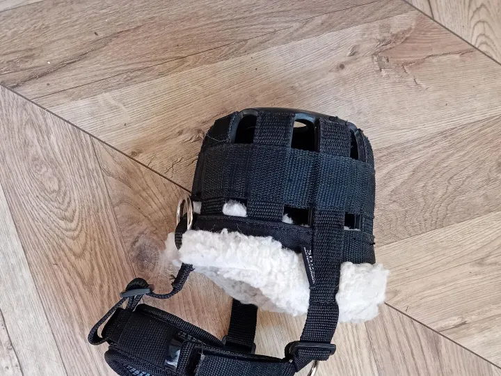 Items for sale &ndash; GRASS MUZZLE &pound;10