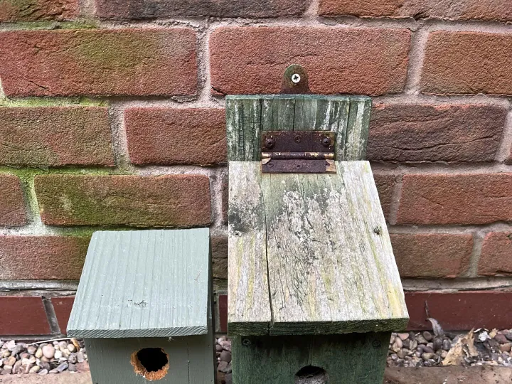 Items free to a good home! – 2 bird boxes n/r