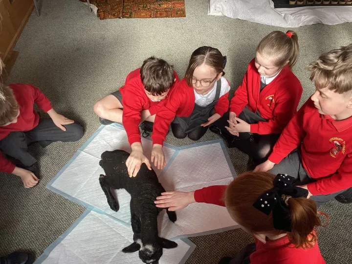 20260318_110349097_ios