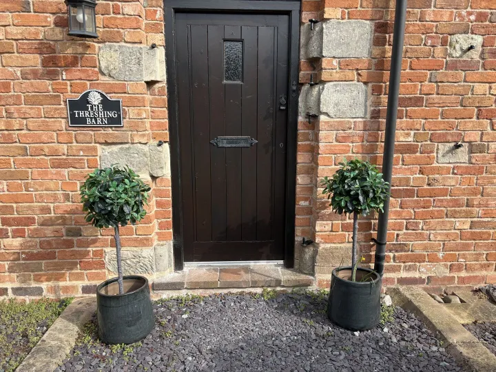 Items for sale &ndash; Bay trees with ceramic glazed pots. &pound;50