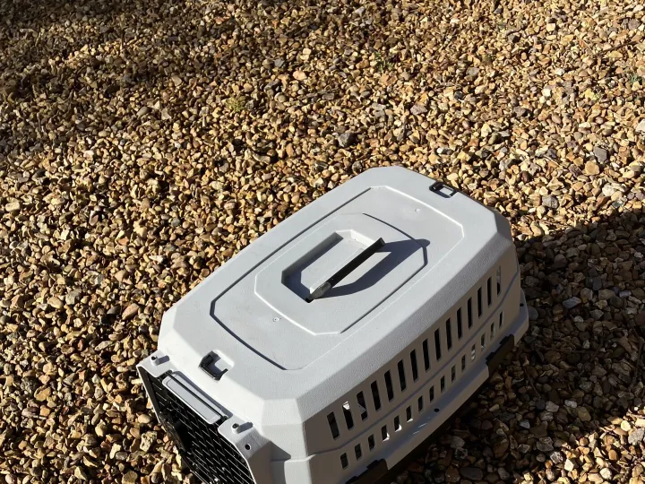 Items for sale &ndash; Dog / Cat Traveler &pound;15