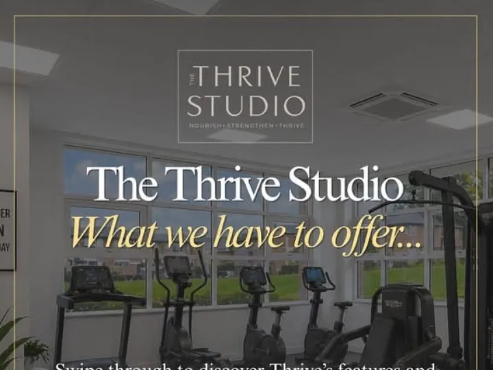 Thrive Studio 01