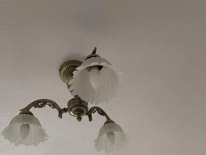 Items for sale &ndash; Ceiling light Frew